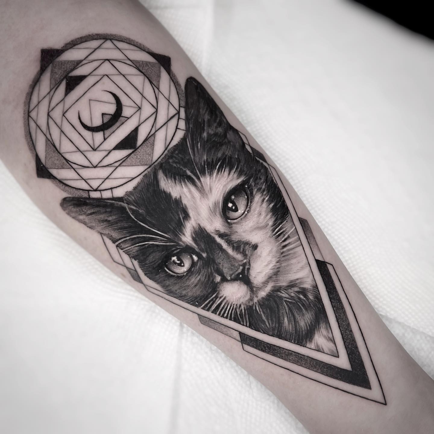 Tatuaje de Gato Geométrico